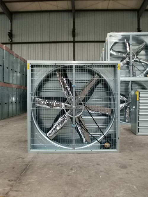 無(wú)動(dòng)力風(fēng)機(jī)報(bào)價(jià) 廠家