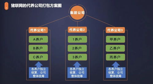 農(nóng)信互聯(lián)與紅明彪集團(tuán)合作 手機(jī)軟件設(shè)計(jì)與開發(fā)引領(lǐng)創(chuàng)新發(fā)展新模式